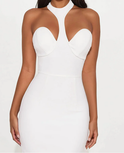 Halter Neck Backless Long Dress